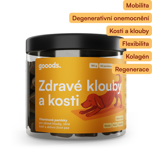 Zdravé klouby a kosti