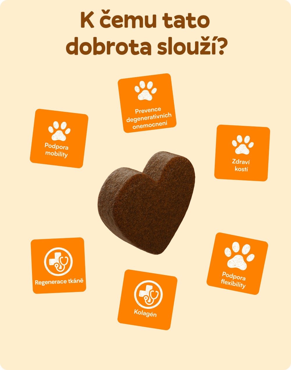 Zdravé klouby a kosti